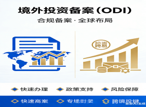 ��ҵ��Ϲ����������ODI���������⹫˾��