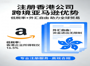 ������ѷ�羳���ϰ忴������