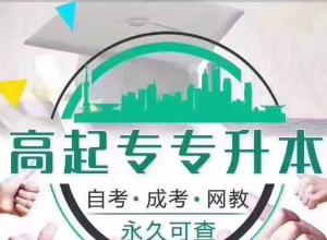 �������⾭��ѧԺ��ѧ����ר���Ӿ��������רҵ��ѧ��