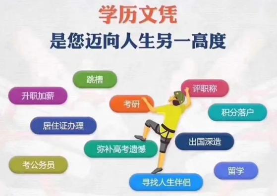 ���ϲƾ�������ѧ��ѧ���Ա��ƹ�����ҵ�����Կ���ѧ