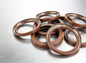 �㶫������ת˫���͹Ǽ���