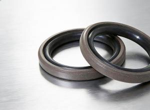 Һѹ�͸׽���������ܷ��DSD