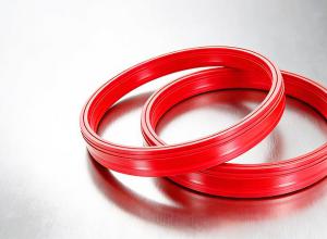 �㶫������V�ͽ�Ҷ�ܷ����